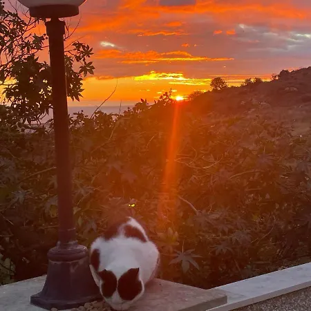 Beautiful Πάφος