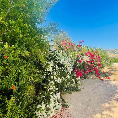Beautiful Δωμάτια σε οικογενειακή κατοικία Πάφος