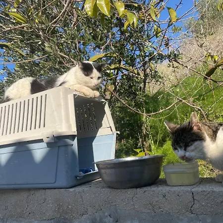 Beautiful * Πάφος