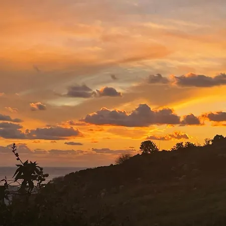 홈스테이 Beautiful 파포스