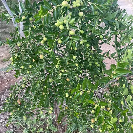 Beautiful 홈스테이 파포스