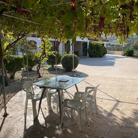 Beautiful Проживание в семье Пафос