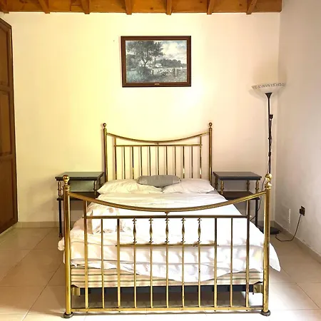 Beautiful Проживание в семье