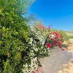Beautiful Alloggio in famiglia Paphos