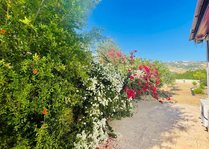 Beautiful Homestay Paphos